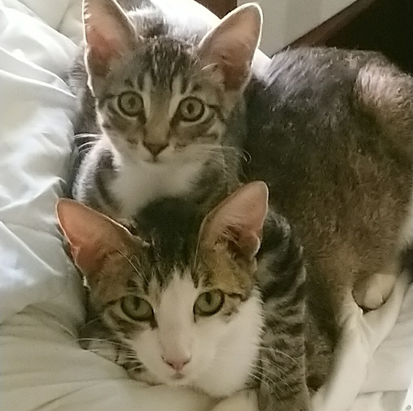 Meet your Posher, Valarie - Picture 1 of 7